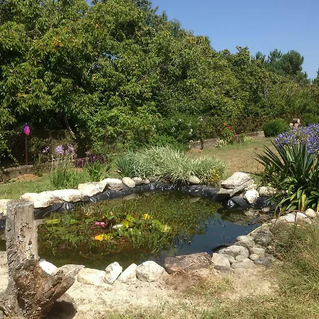 Casa Idalia * Ourense